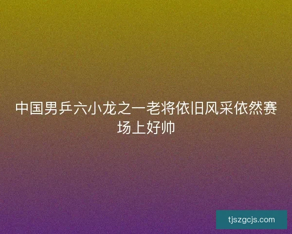 中国男乒六小龙之一老将依旧风采依然赛场上好帅 中国男乒六小龙之一老将依旧风采依然赛场上好帅