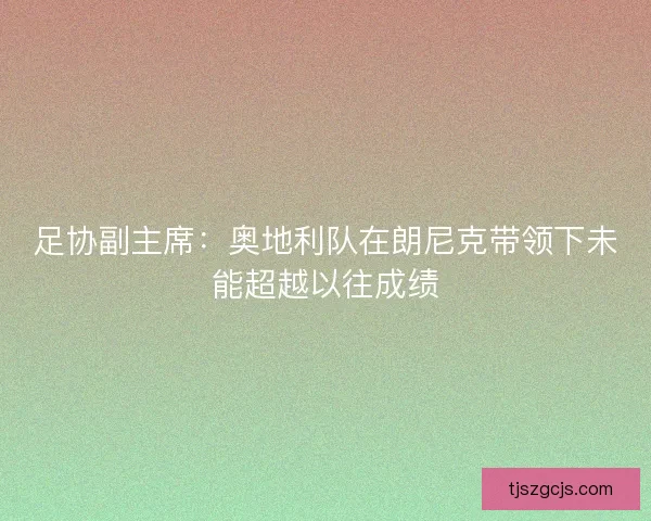 足协副主席:奥地利队在朗尼克带领下未能超越以往成绩 足协副主席:奥地利队在朗尼克带领下未能超越以往成绩